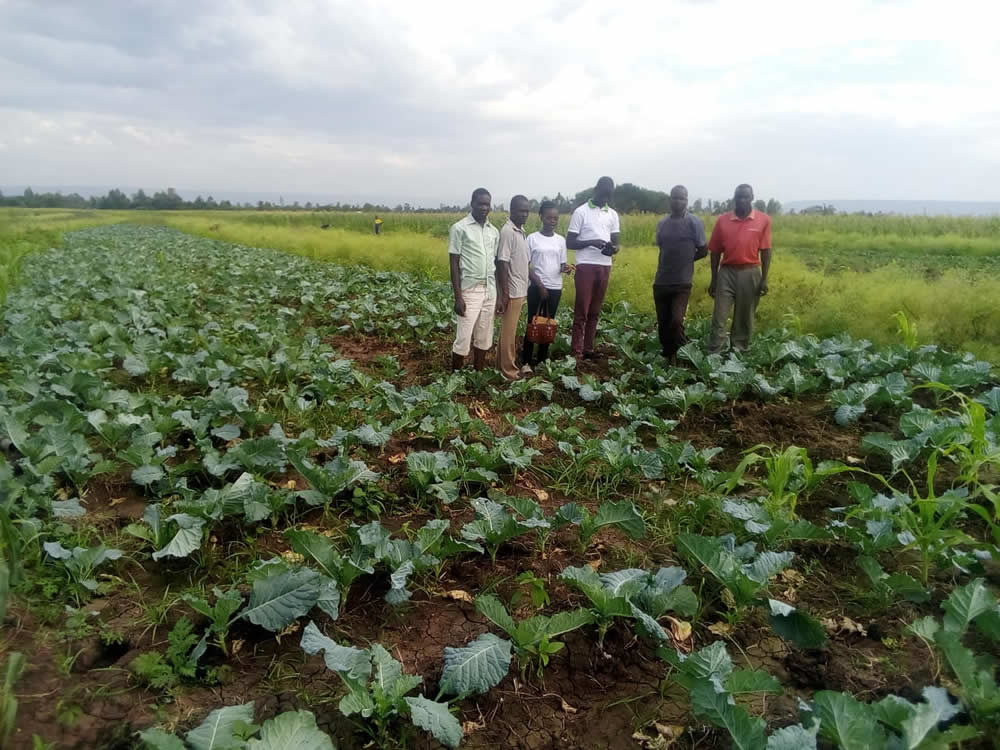 Food Security
